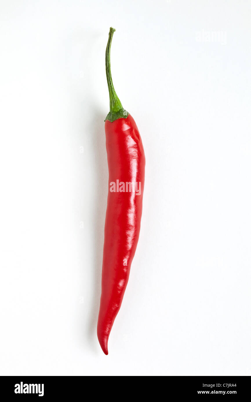 A single red chilli pepper against a white background Stock Photo