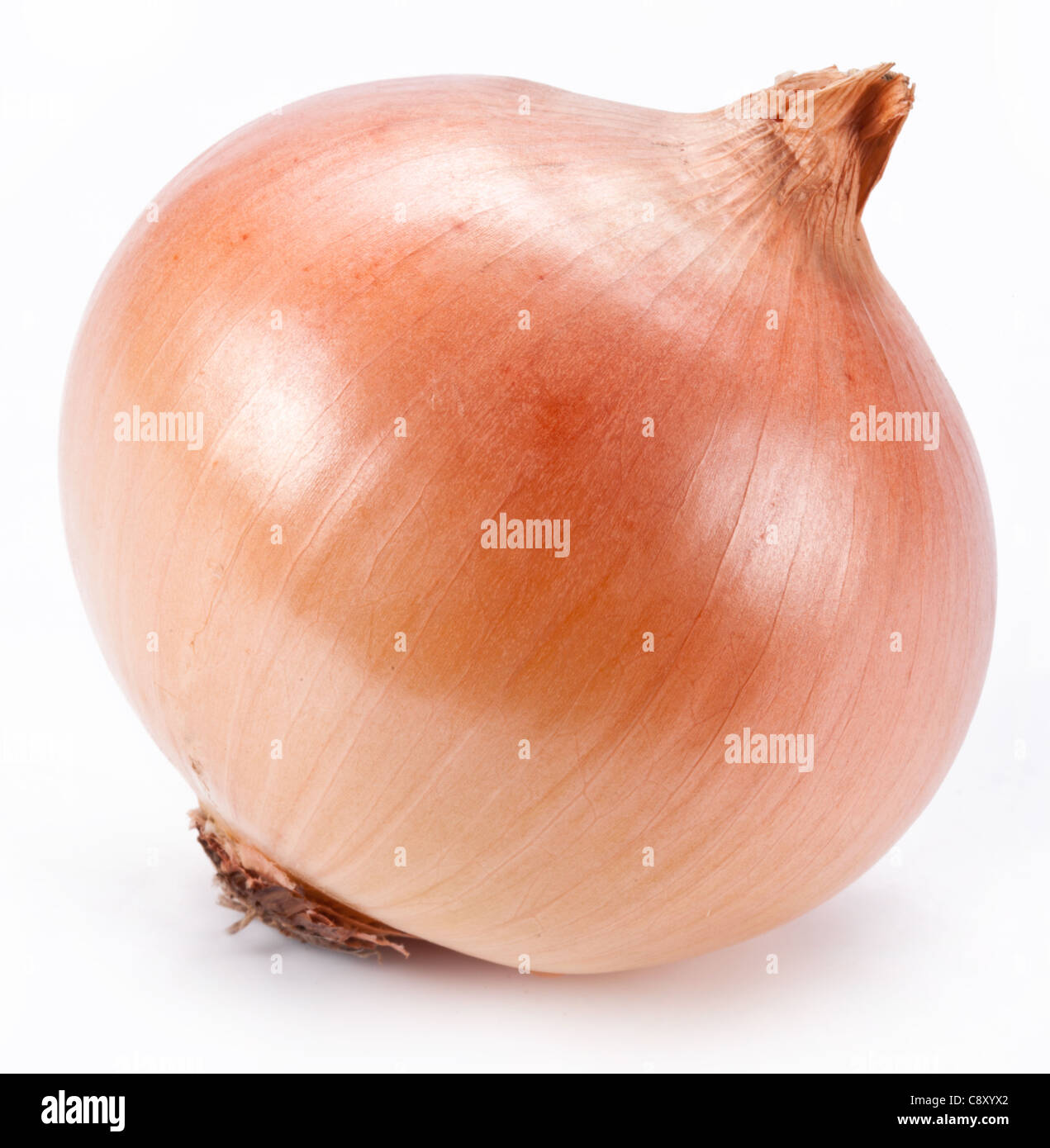 Onion on a white background Stock Photo