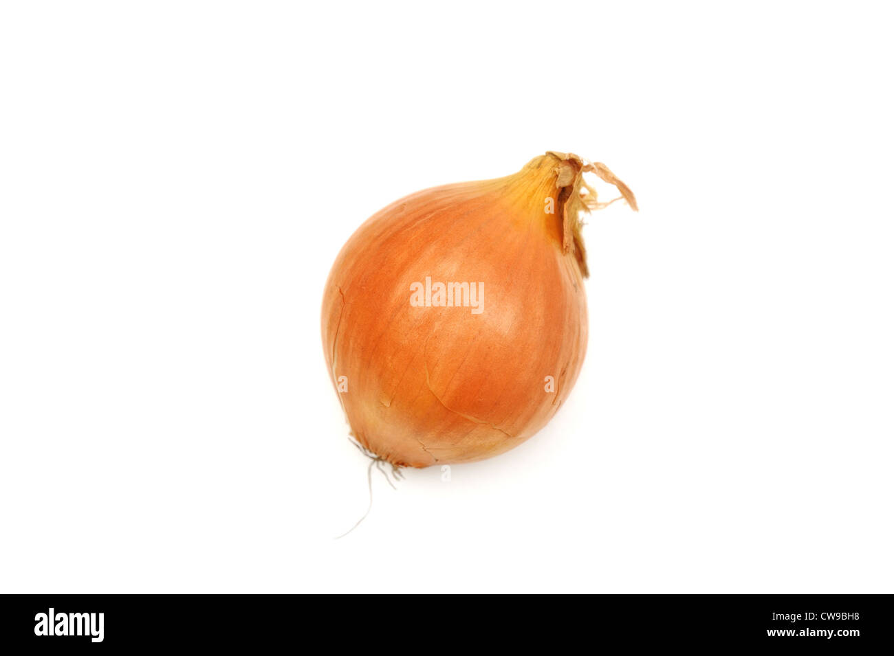 a cooking onion Stock Photo