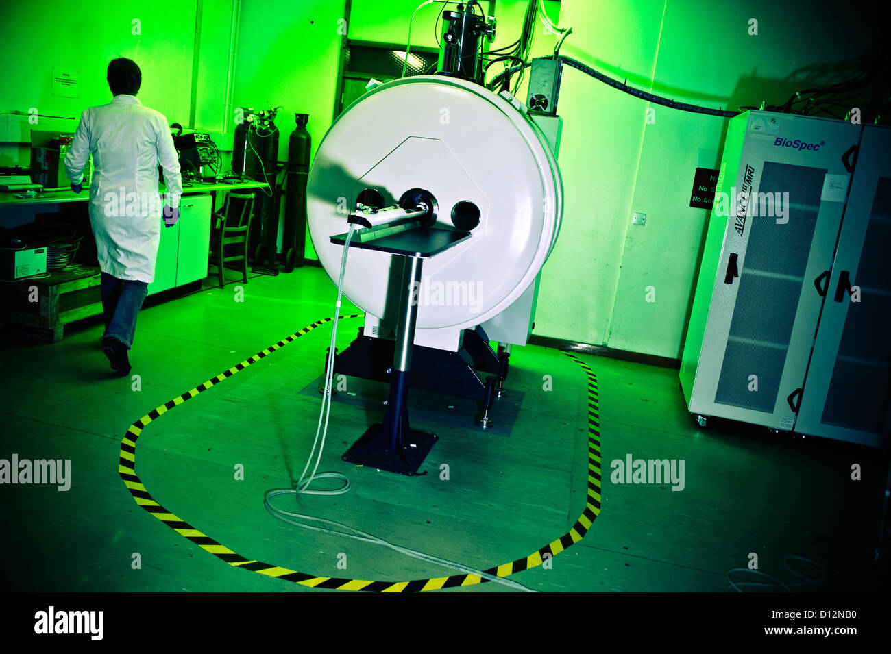 Technician or scientist in room with small bore Magnetic Resonance Imaging (MRI) scanner, in which small subjects are scanned. Stock Photo