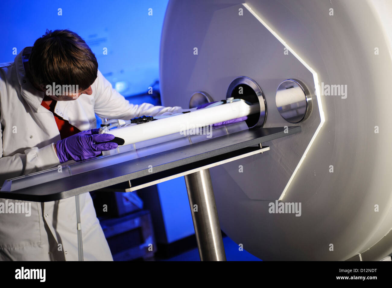 Scientist or technician loads a specimen on a tray into a small bore Magnetic Resonance Imaging (MRI) scanner Stock Photo