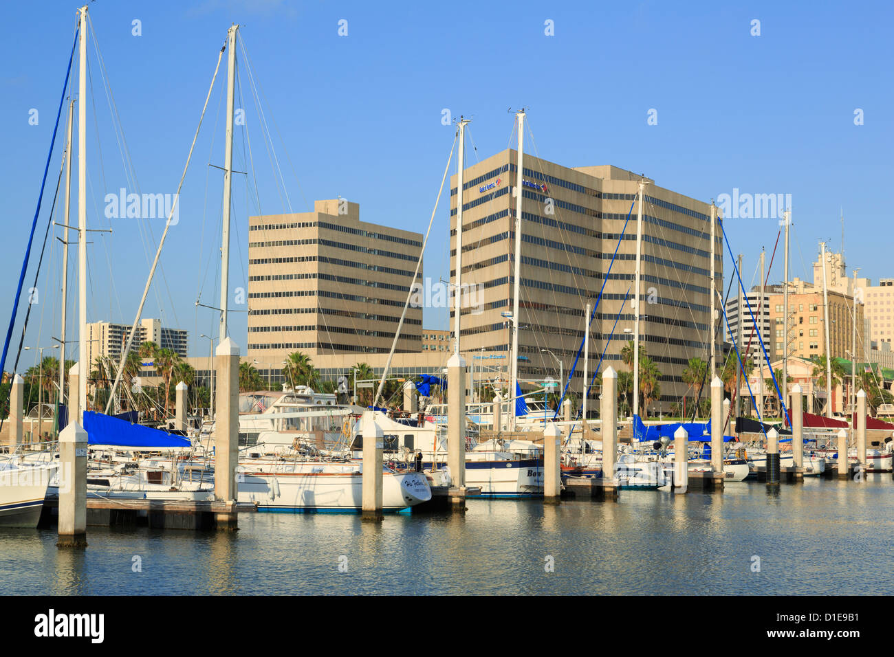 Waterfront skyline in Corpus Christi, Texas, United States of America, North America Stock Photo