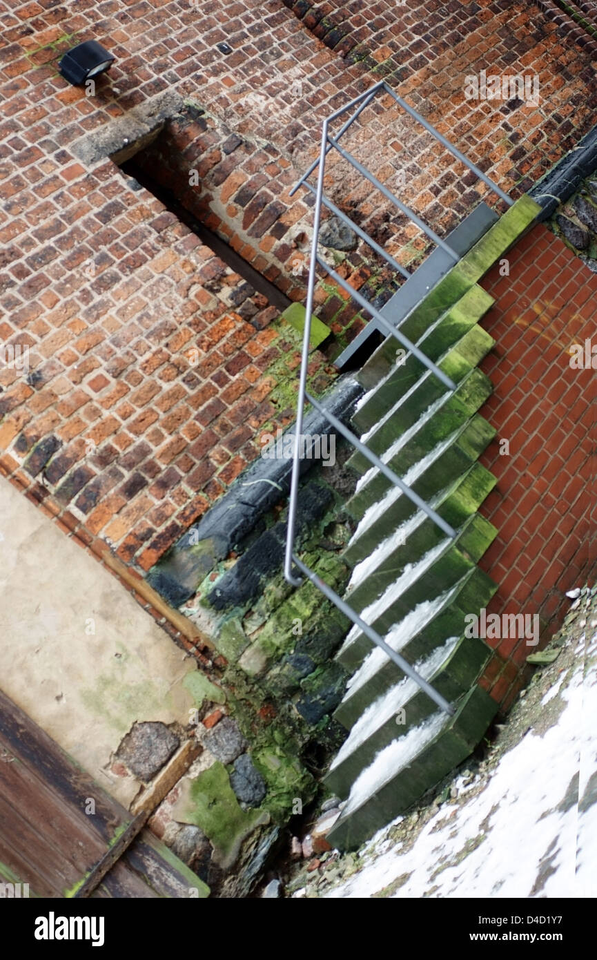 Mossy stair Stock Photo