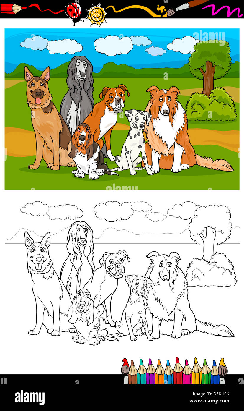 Cartoon Illustration of Purebred Dogs like German Shepherd, Collie, Dalmatian, Basset Hound, Afghan Hound and Boxer for coloring Stock Photo