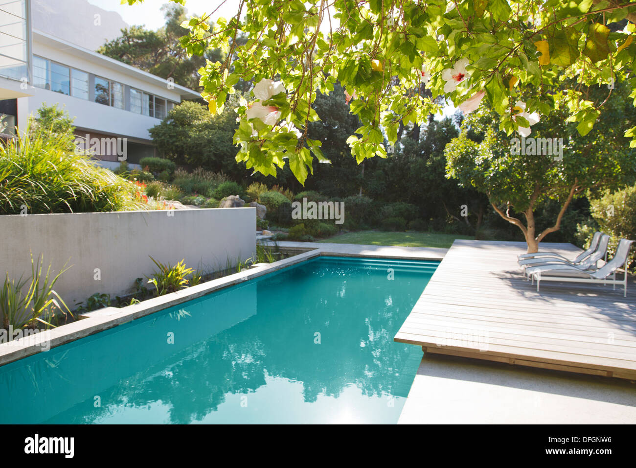 Wooden deck and lounge chairs by swimming pool Stock Photo