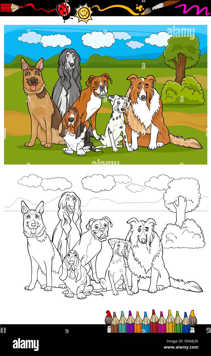 Cartoon Illustration of Funny Purebred Dogs like German Shepherd, Collie, Dalmatian, Basset Hound, Afghan Hound and Boxer for Co Stock Vector