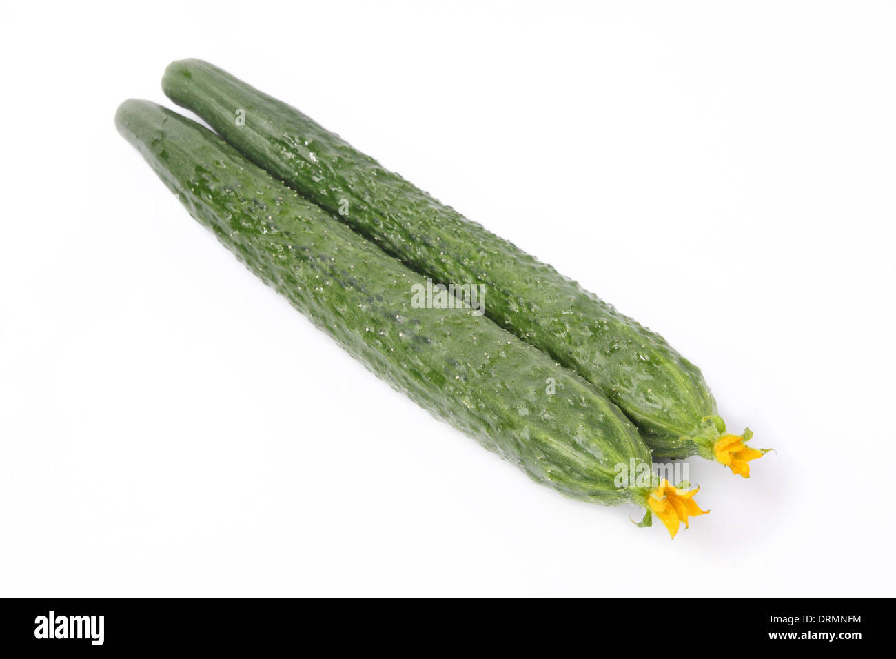 Cucumbers Stock Photo