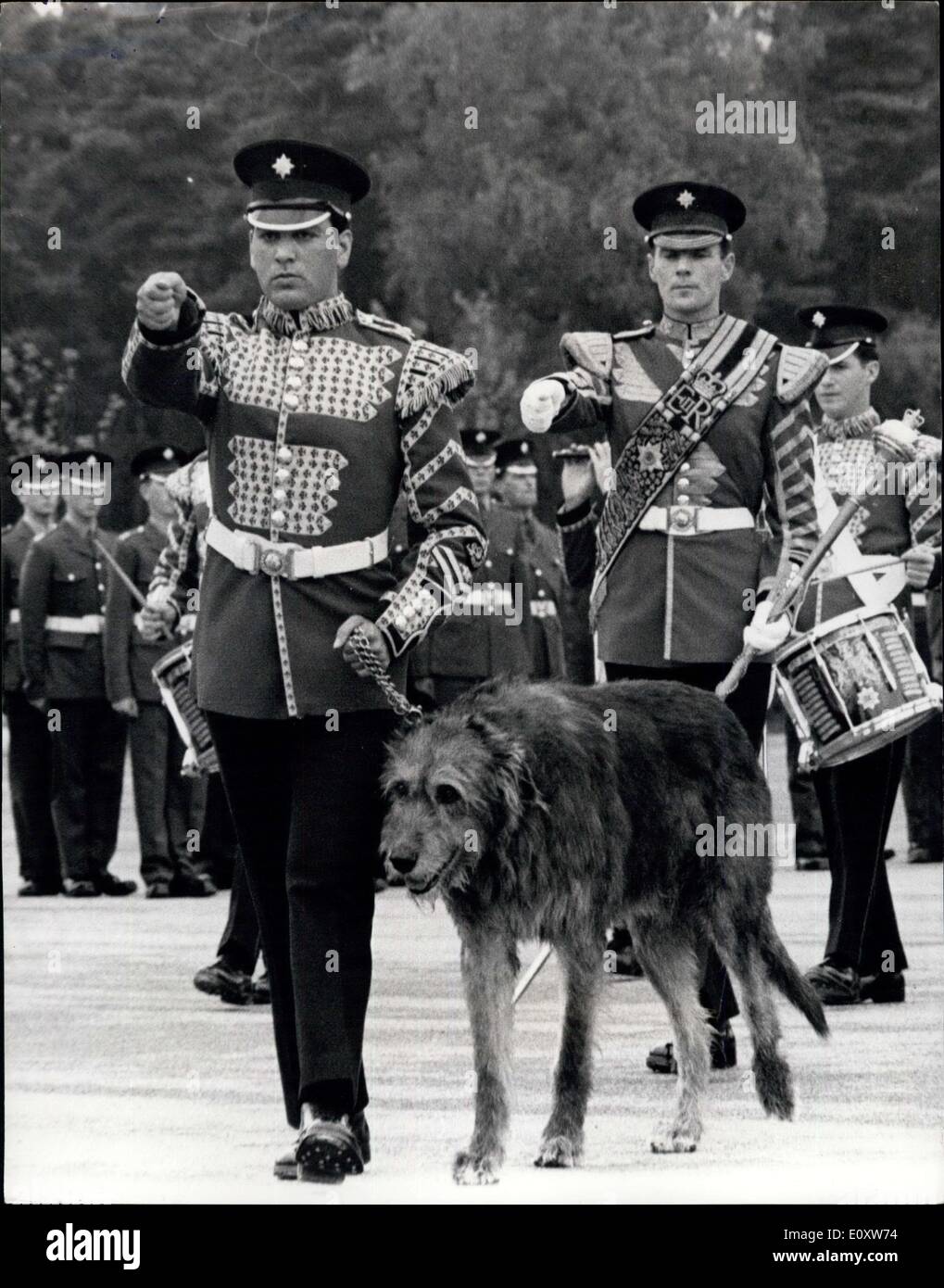 Sep. 27, 1967 - New Regimental Mascot for the Irish Guards: A 10-month old Irish wolfhound, Fionn, yesterday became the new regimental mascot of the First Batallion Irish Guards, at Pirbright, Surrey. Fionn was taking over from another Irish wolfhound, Shaun, who was being demobilised with full military honours after his full seven years' service. Field Marshal Earl Alexander to Tunis, Colonel of the Regiment, was there to give Shaun a pat on the head and say: ''Goodbye old friend''. Shaun will be retired to Scotland. Photo shows the entire 1st Stock Photo