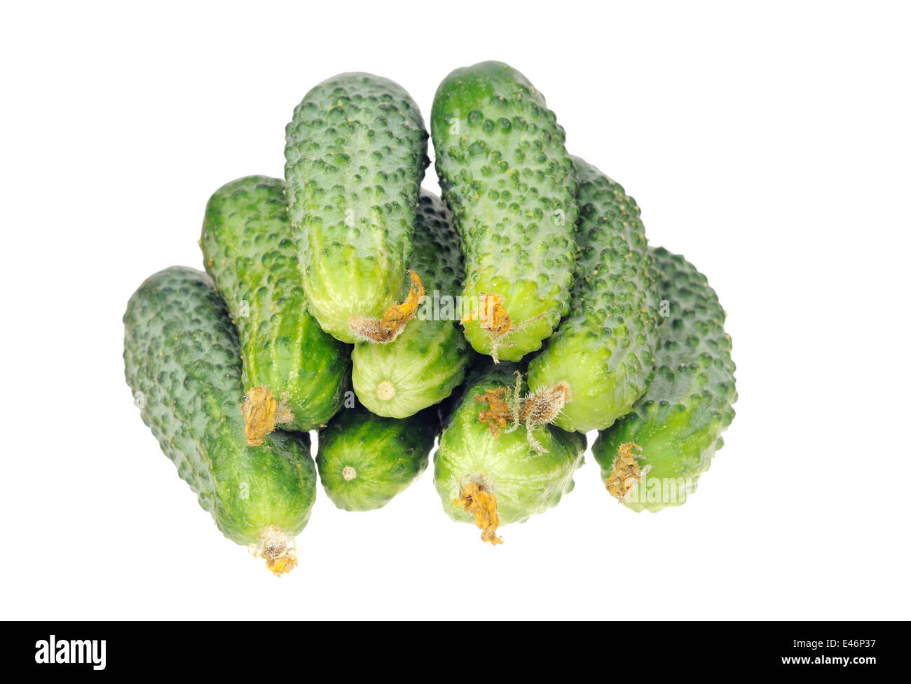 stack of cucumbers with dry flowers isolated over white background Stock Photo