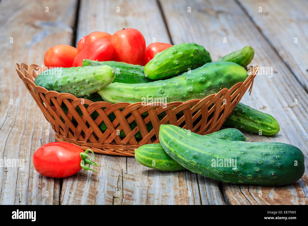 Basket with tomatoes and cucumbers fresh from the garden Stock Photo