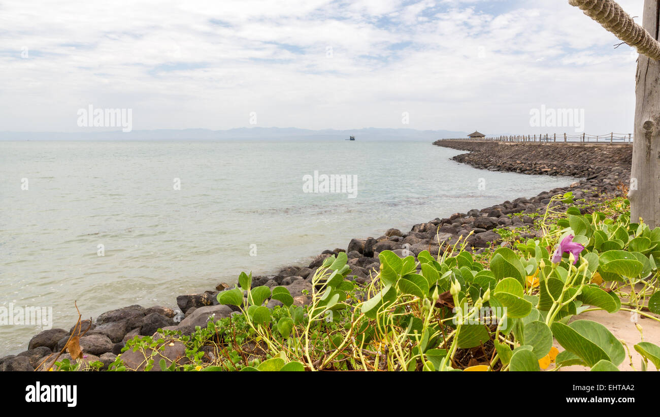 Red sea shores Stock Photo