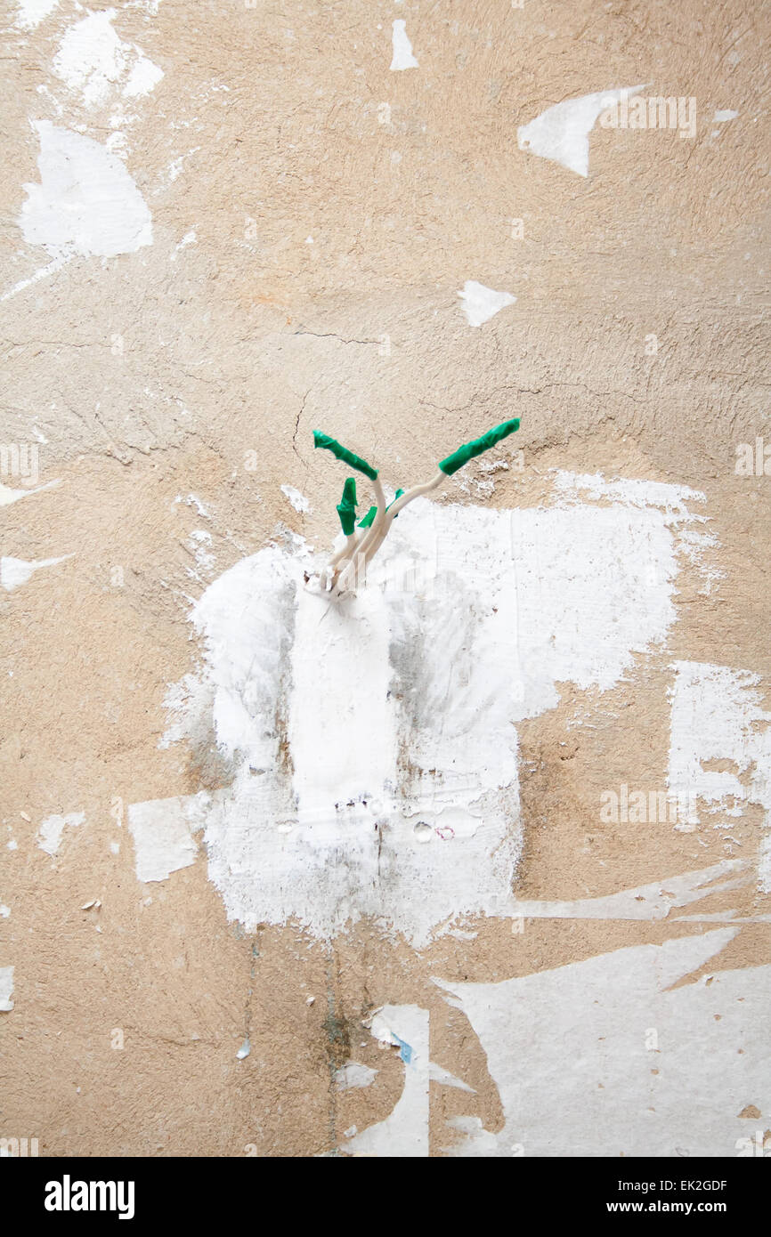 Undone AC power socket in wall. Repairs in the apartment. Stock Photo