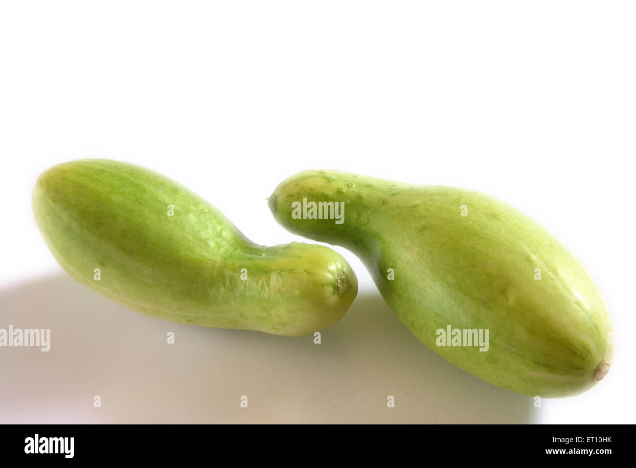 Green vegetable ; kakri cucumbers cucumis utilissimus on white background Stock Photo