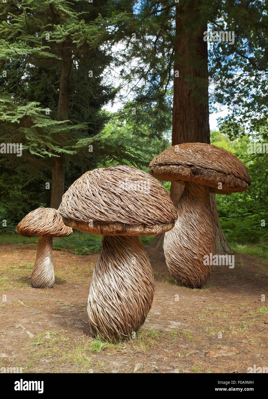 Giant Cep mushroom sculptures at Wakehurst Place. Stock Photo