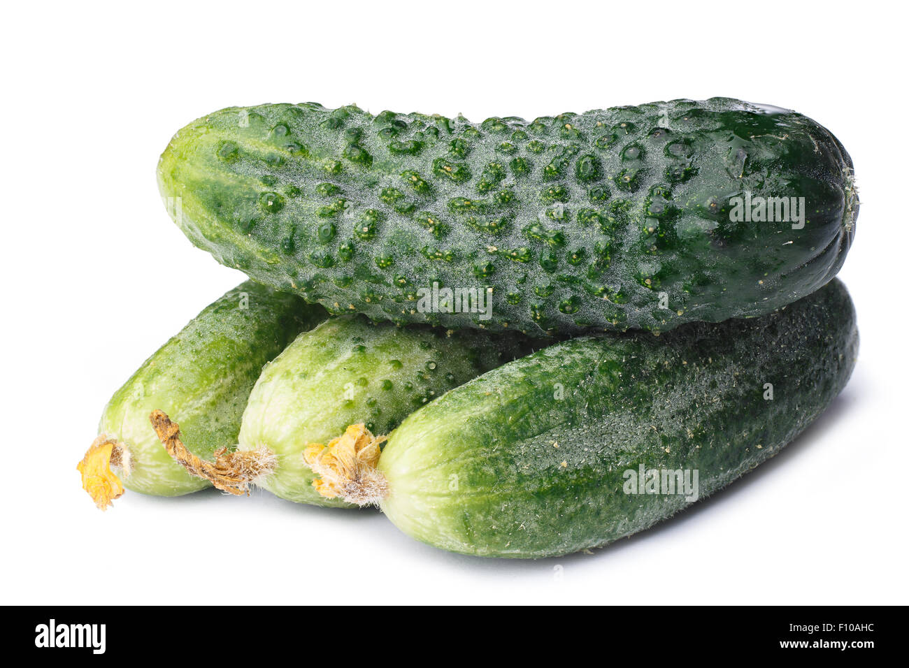 Freshly picked green cucumbers Stock Photo