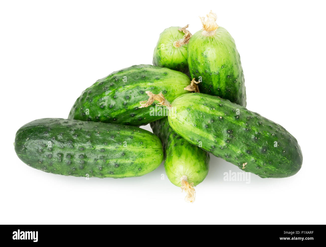 cucumbers on the white background. Stock Photo