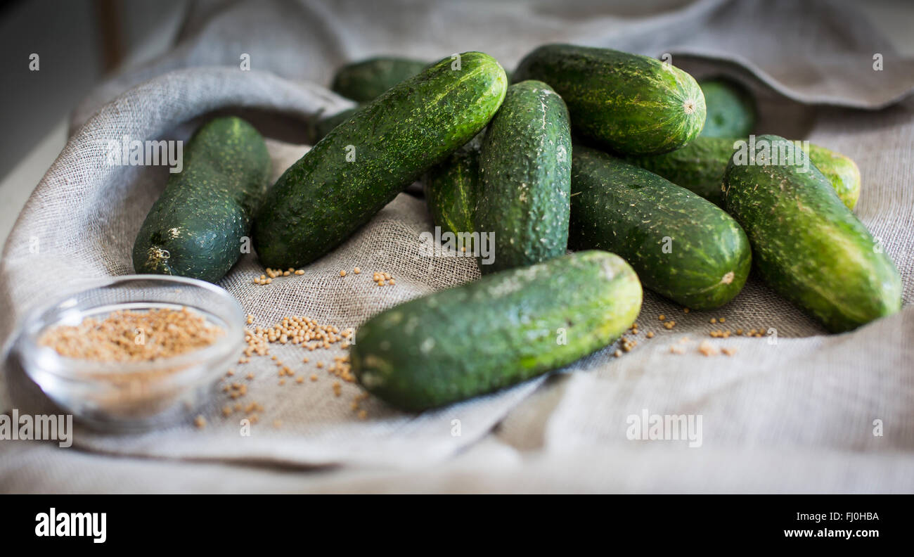 Cucumbers and mustard seeds as an ingredient for pickles Stock Photo