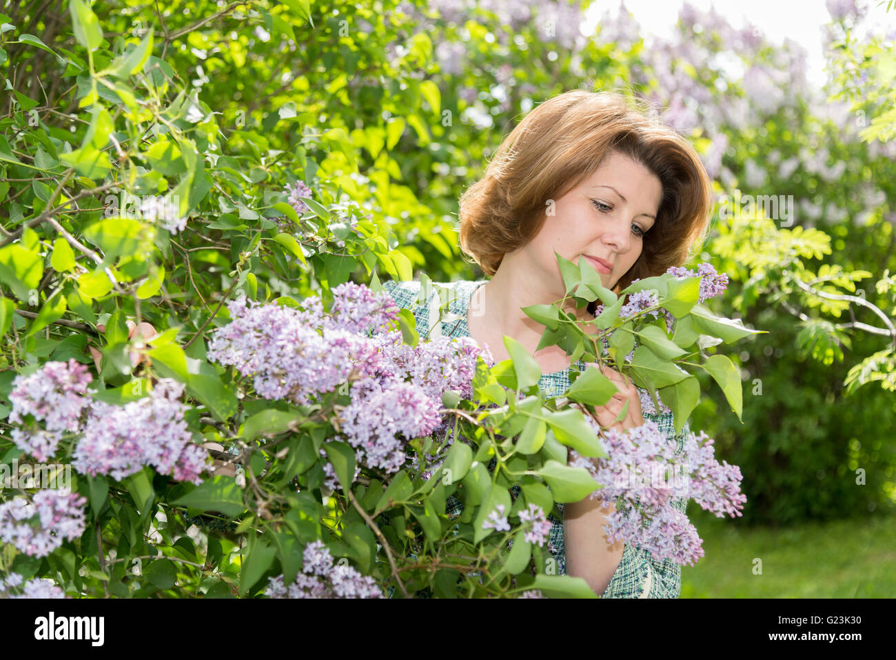 Adult woman in park near the blossoming lilac Stock Photo