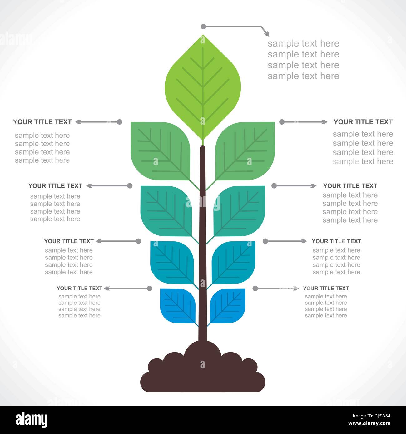 tree creative info-graphics concept vector Stock Vector