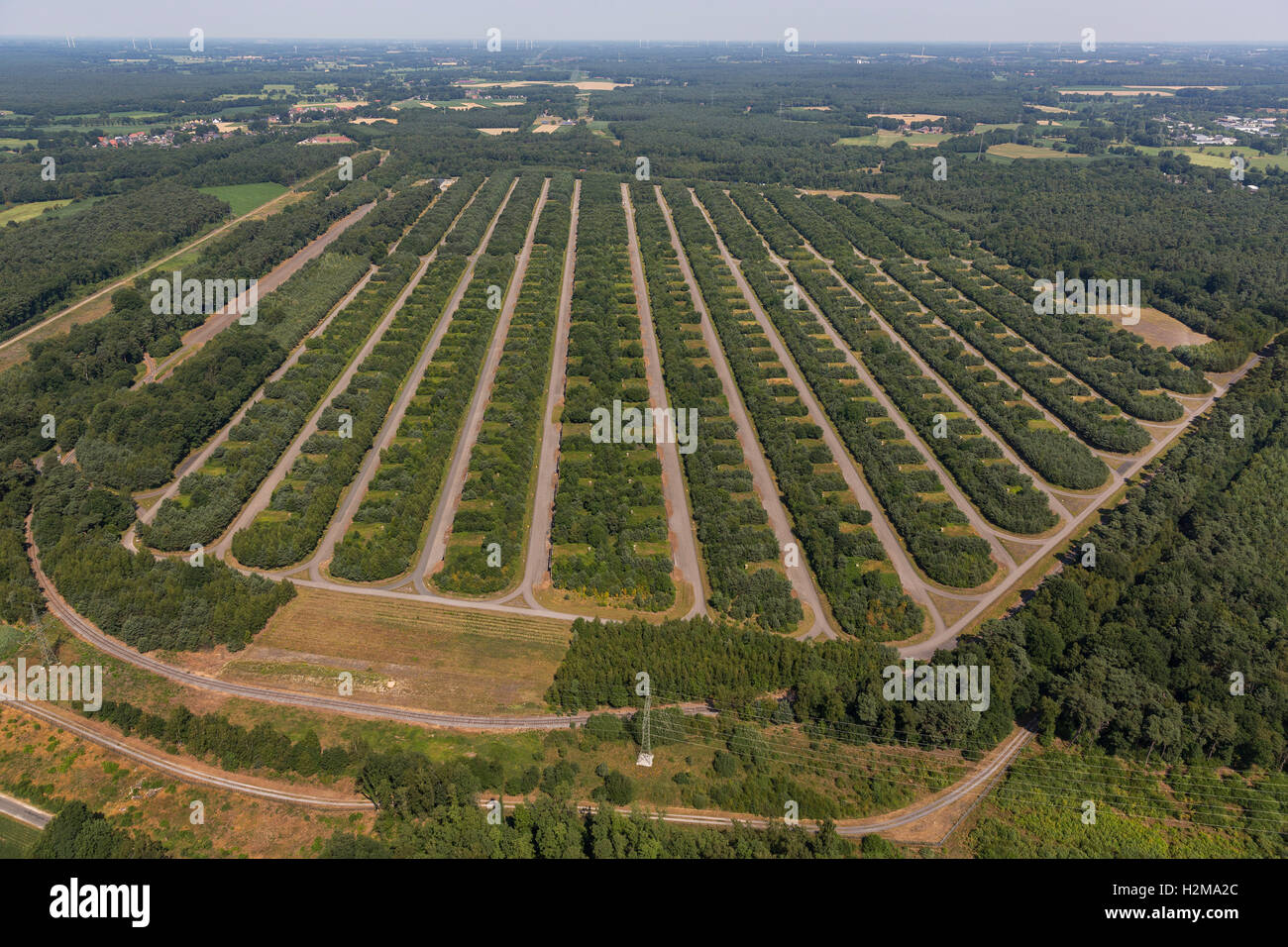 Aerial view, Muna, ammunition bunkers Bundeswehr in Wulfen, Depot of the german forces,  Aerial view of Dorsten, Ruhr area, Stock Photo