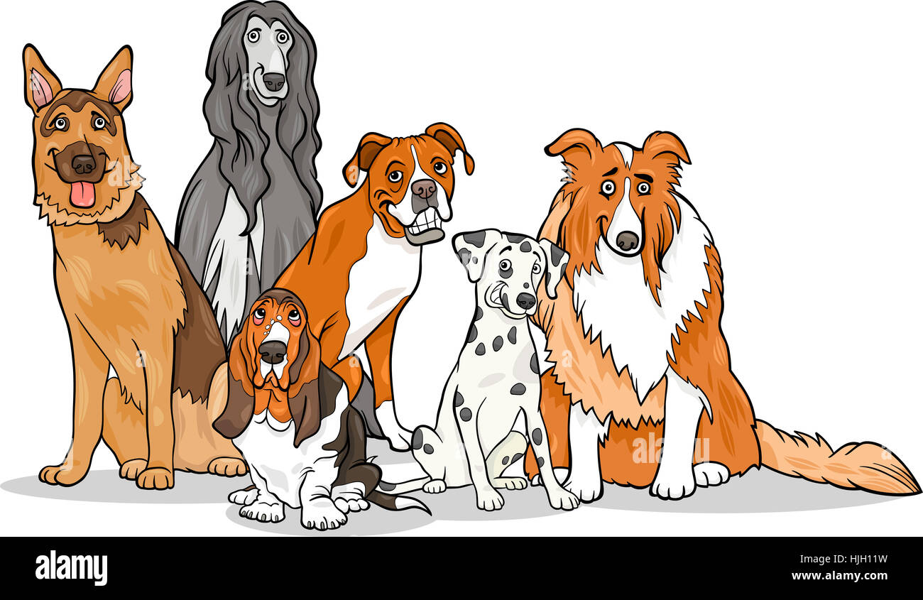 dog, illustration, dalmatian, afghan, hound, cartoon, basset, big, large, Stock Photo