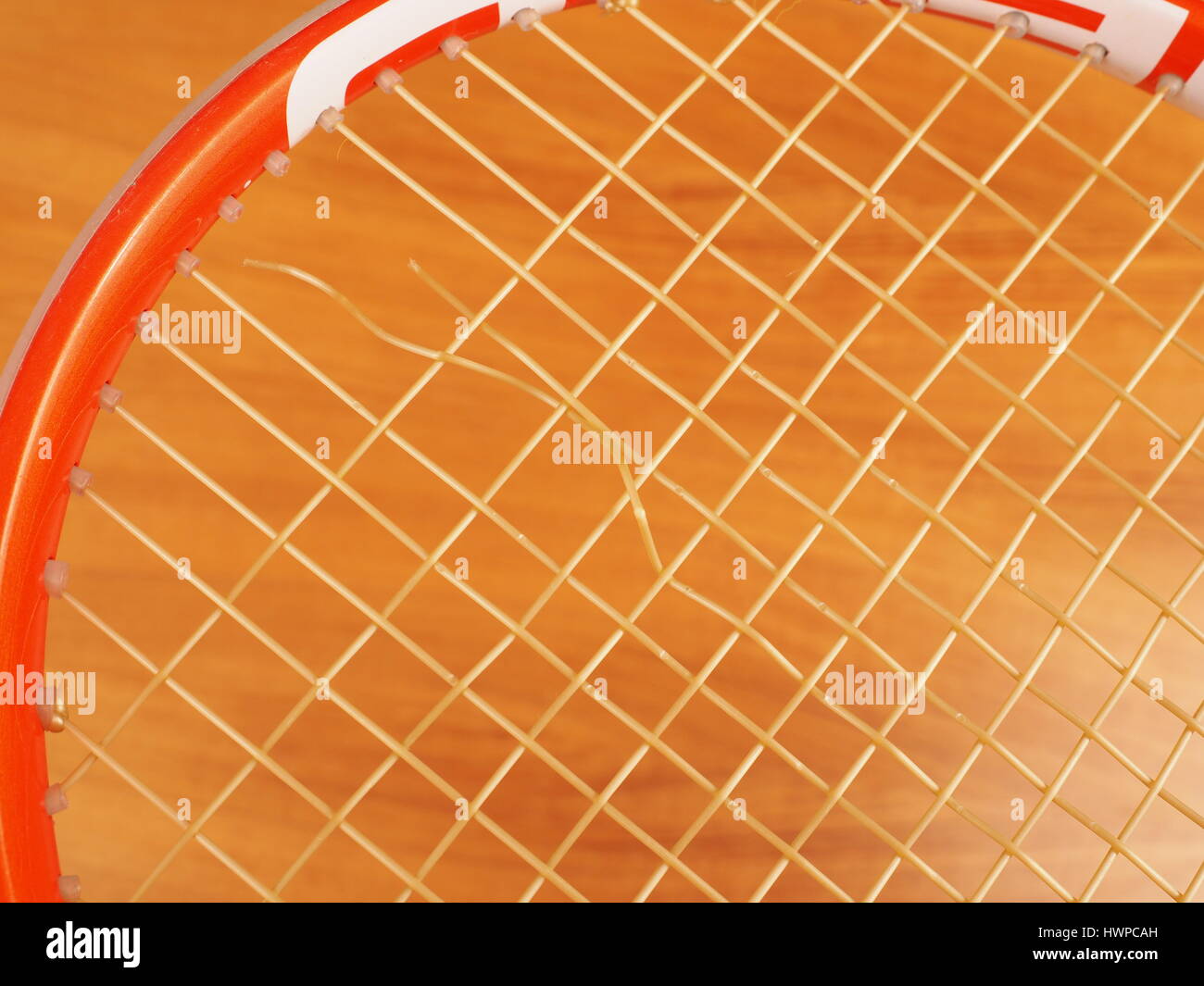 String break of a mains synthetic monofilament polyester Tennis string caused by normal wear from topspin hits near the center of the racquet frame. Stock Photo