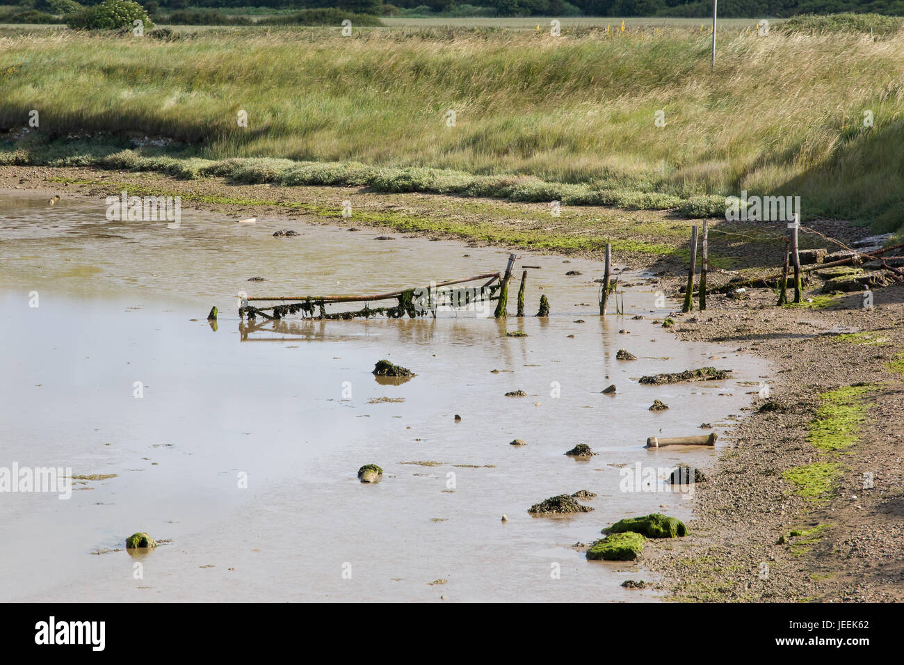 Low tide with exposed mud at Newhaven Tide Mills, in East Sussex Stock Photo