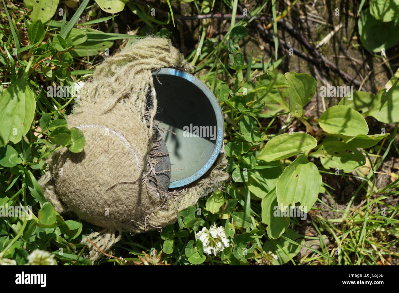 Tennis ball, chewed in half, in grass and leafs Stock Photo