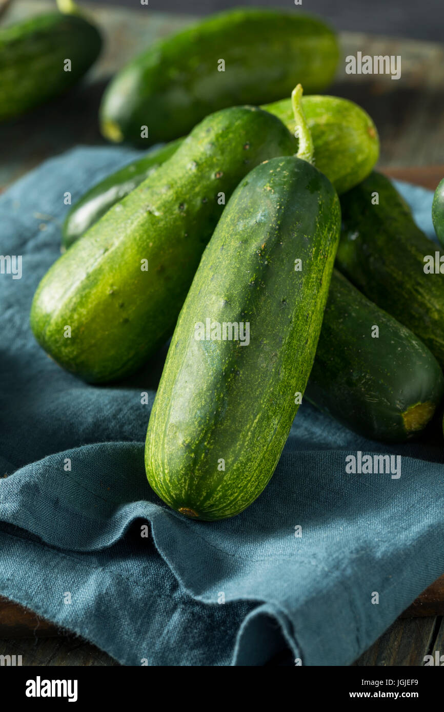 Raw Green Organic PIckle Cucumbers Ready to Eat Stock Photo