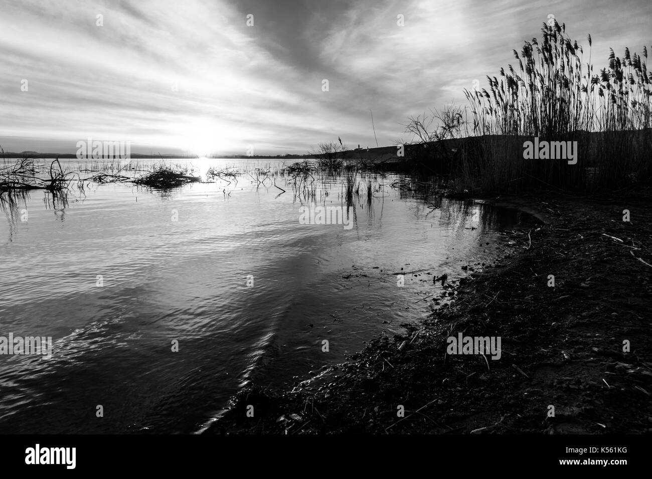 Lake shore at sunset, with trees and branches coming out of water, and a beautiful sky with sun low on the horizon Stock Photo