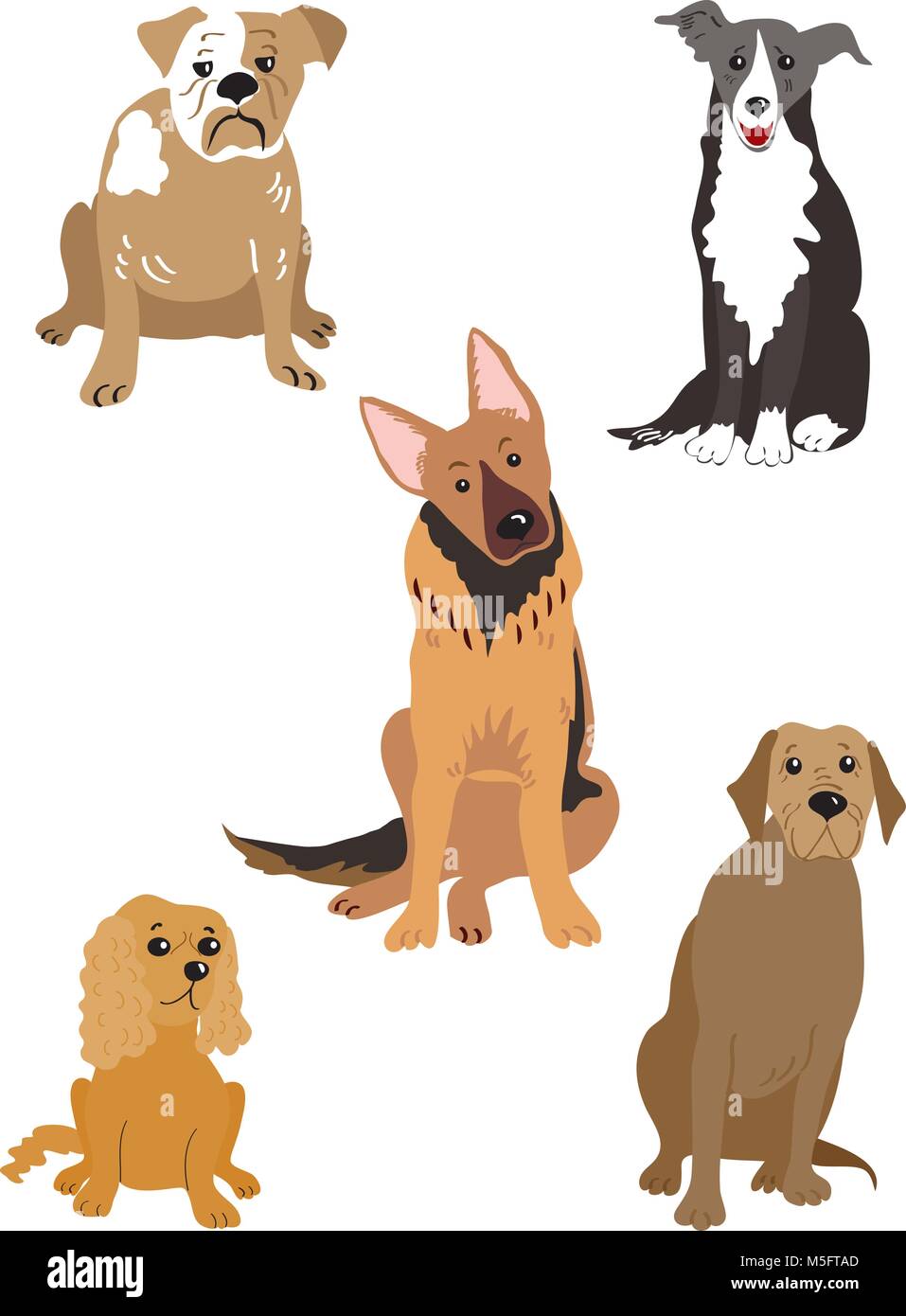 A cartoon illustration of five different dogs,including a bulldog,a collie, a german shepherd,a cocker spaniel,and a brown labrador. Stock Vector