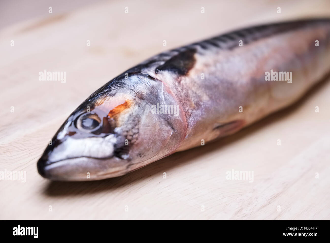 Mackerel raw fresh sea fish close up head isolated wooden board healthy seafood Stock Photo