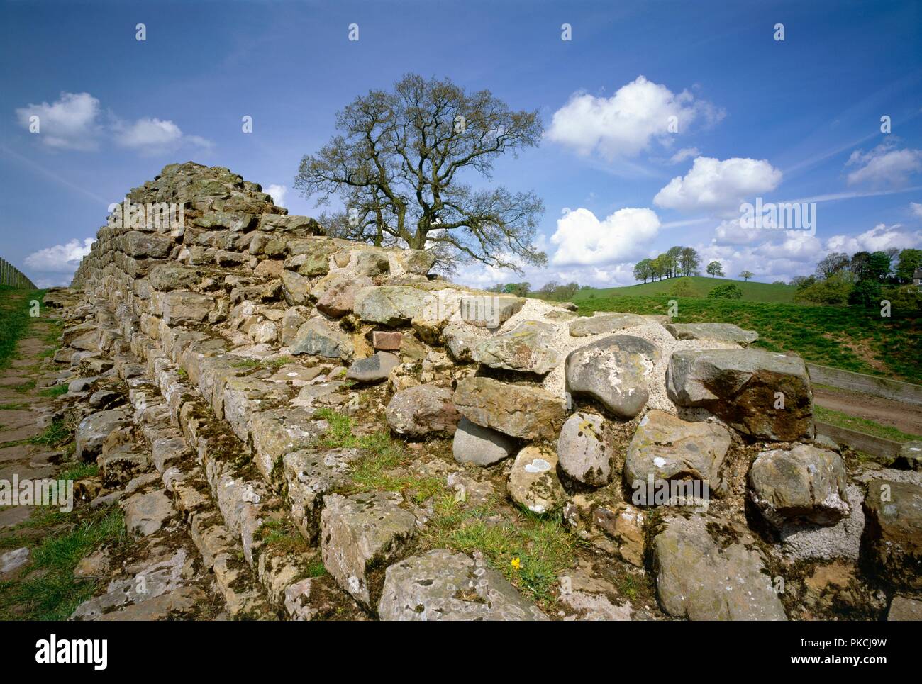 Hadrian's Wall, Willowford, Northumberland, 2010. Artist: Graeme Peacock. Stock Photo