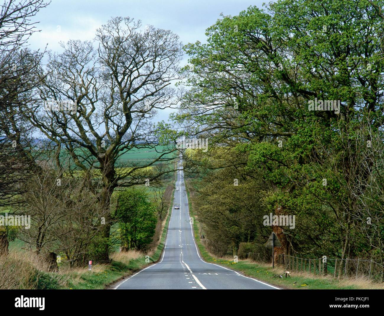 Roman military road west of Housesteads Fort, Hadrian's Wall, Northumberland, 2010. Artist: Graeme Peacock. Stock Photo