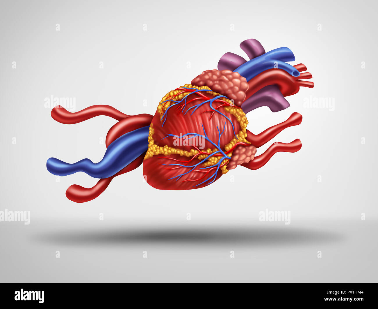 Fast Heart and rapid heartbeat or pulse as a cardiology medical concept as a human circulatory organ shaped as a running animal as a cardiac fatigue. Stock Photo