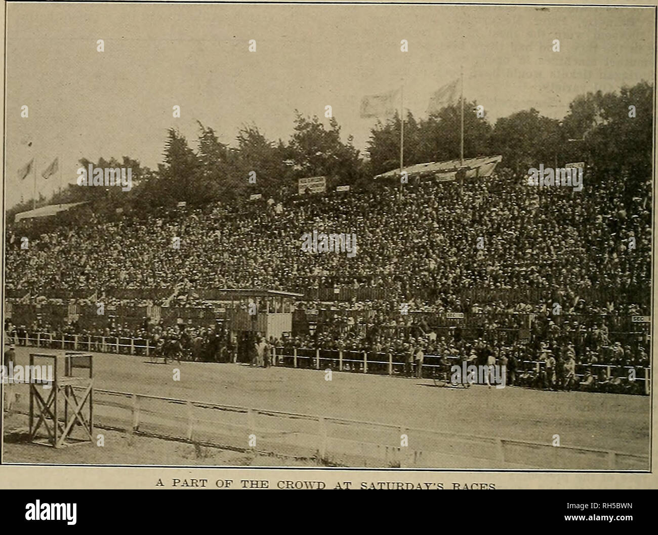 . Breeder and sportsman. Horses. TH1 BEEEDEE AND S1-OBT8UAN [Saturday, June 19, 1915 battle royal, Clara on the pole, the Gent in the cen- ter and Leata in her customary place on the outside. The outside pair came with a tremendous rush, but Dowling was not to be denied and shoved Clara across the line a winner, with the Canadian entry nosing out Leata for place. White Sox outlasting Homer Mac. It was a great finish and one the crowd heartily approved. Brutus, S. Christenson's big gelding by Strathway, won the 2:30 club trot handily after dropping the second heat to Eloise Dell, trotting a ver Stock Photo