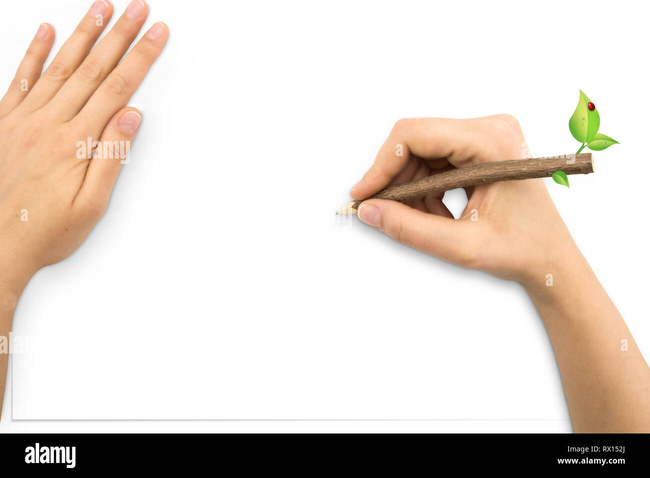 Hands with tree trunk pencil drawing and white shee Stock Photo