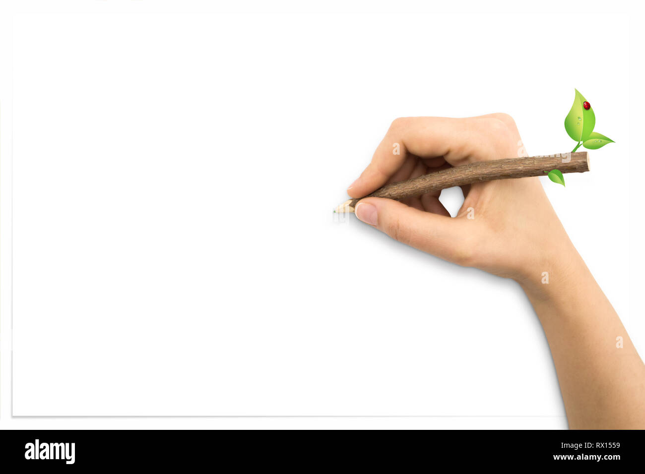 Hand with tree trunk pencil drawing and white sheet Stock Photo