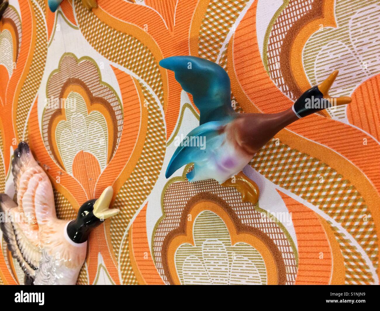 A retro 1970s wall mounted duck flying along on 70s wallpaper like in Hilda Ogden's house in the TV series Coronation Street Stock Photo