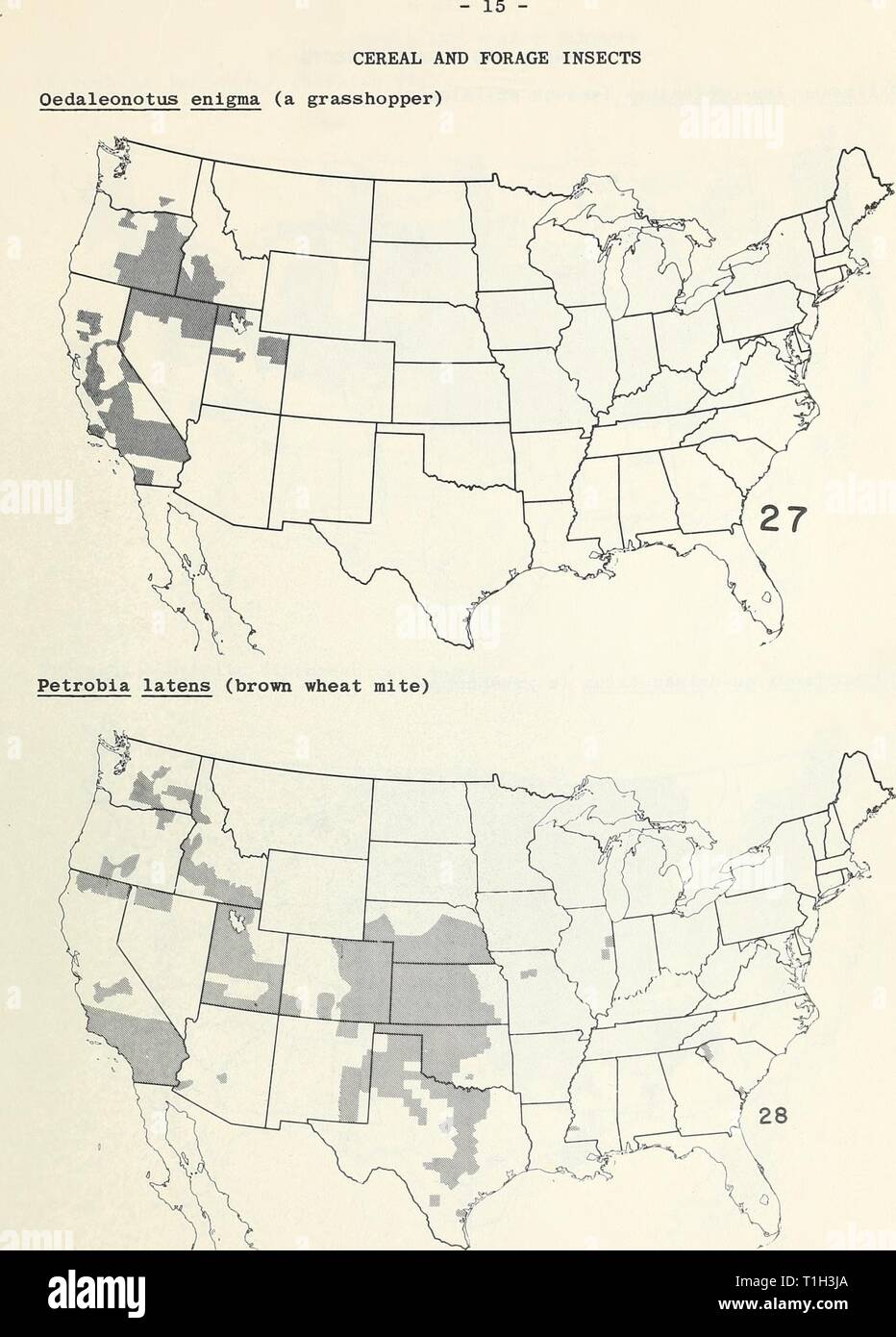 Distribution maps of some insect Distribution maps of some insect pests in the United States  distributionmaps00unit Year: 1959 Stock Photo