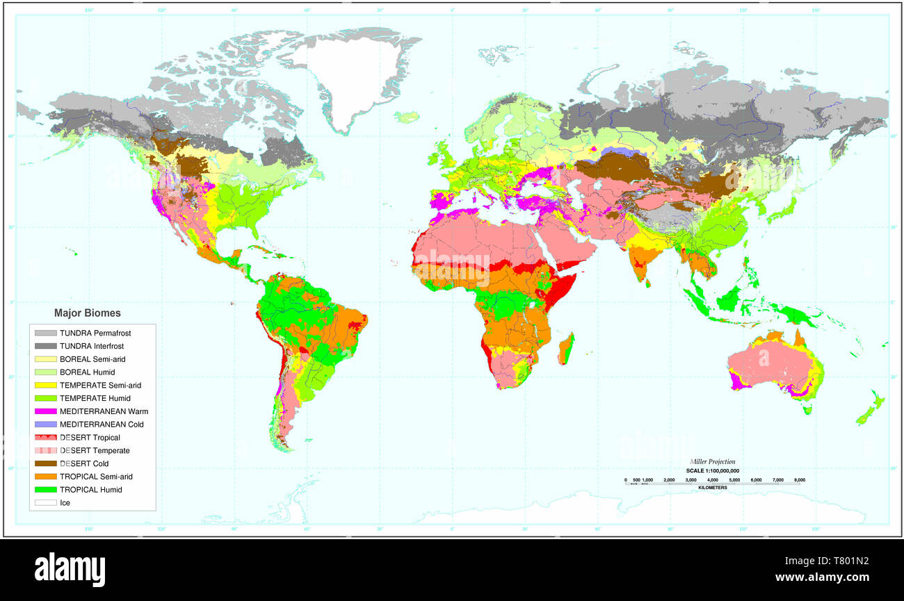 Earth's Major Biomes, Map Stock Photo