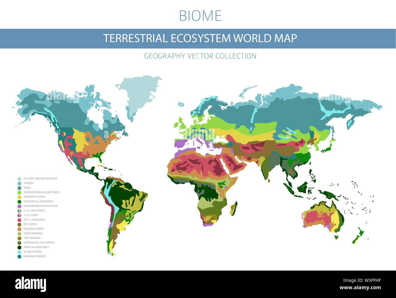 Terrestrial ecosystem world map. Biome. World climatic zone infographic design. Vector illustration Stock Vector