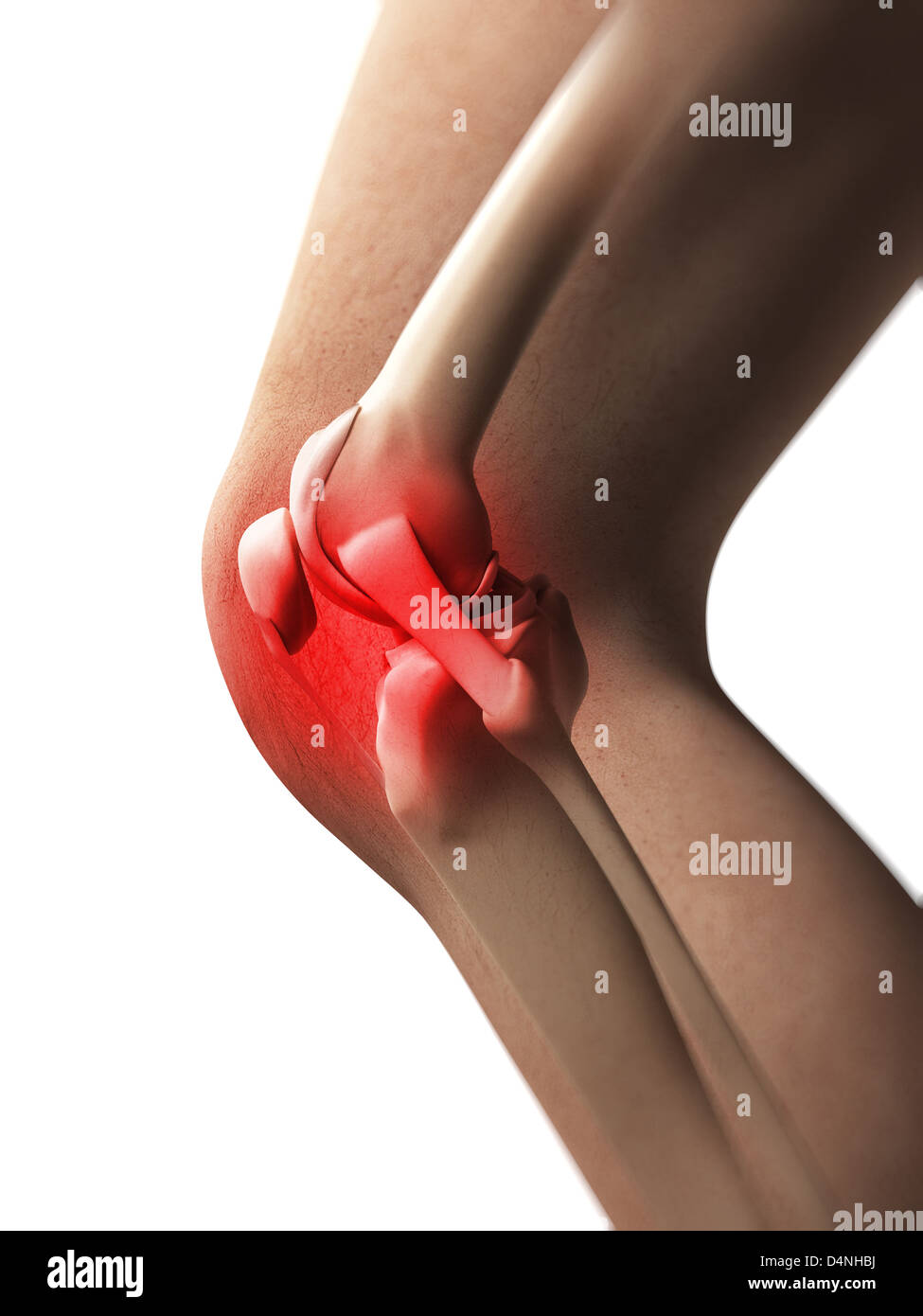 Hervorgehobene Knie Stockfoto