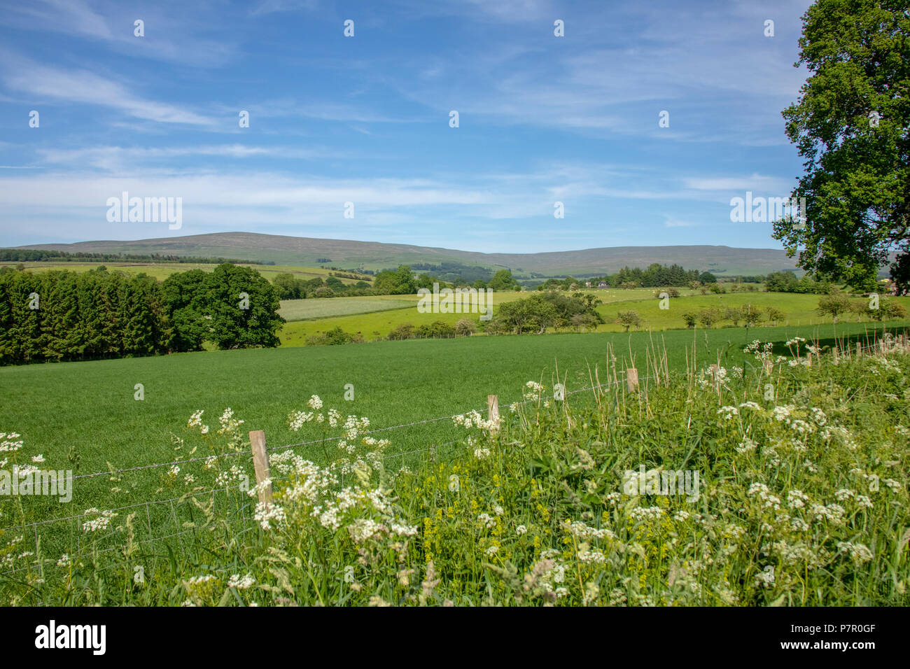 Blick über Eden Valley Stockfoto