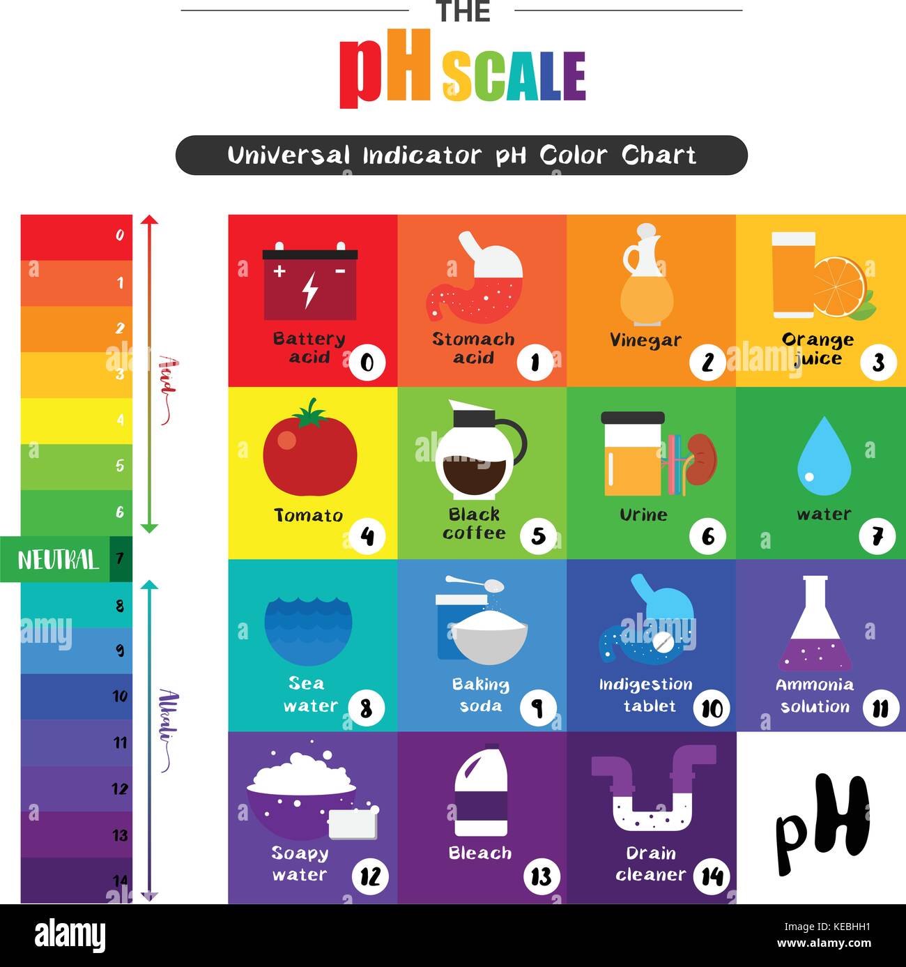 Ph Chart Of All Fruit | My XXX Hot Girl