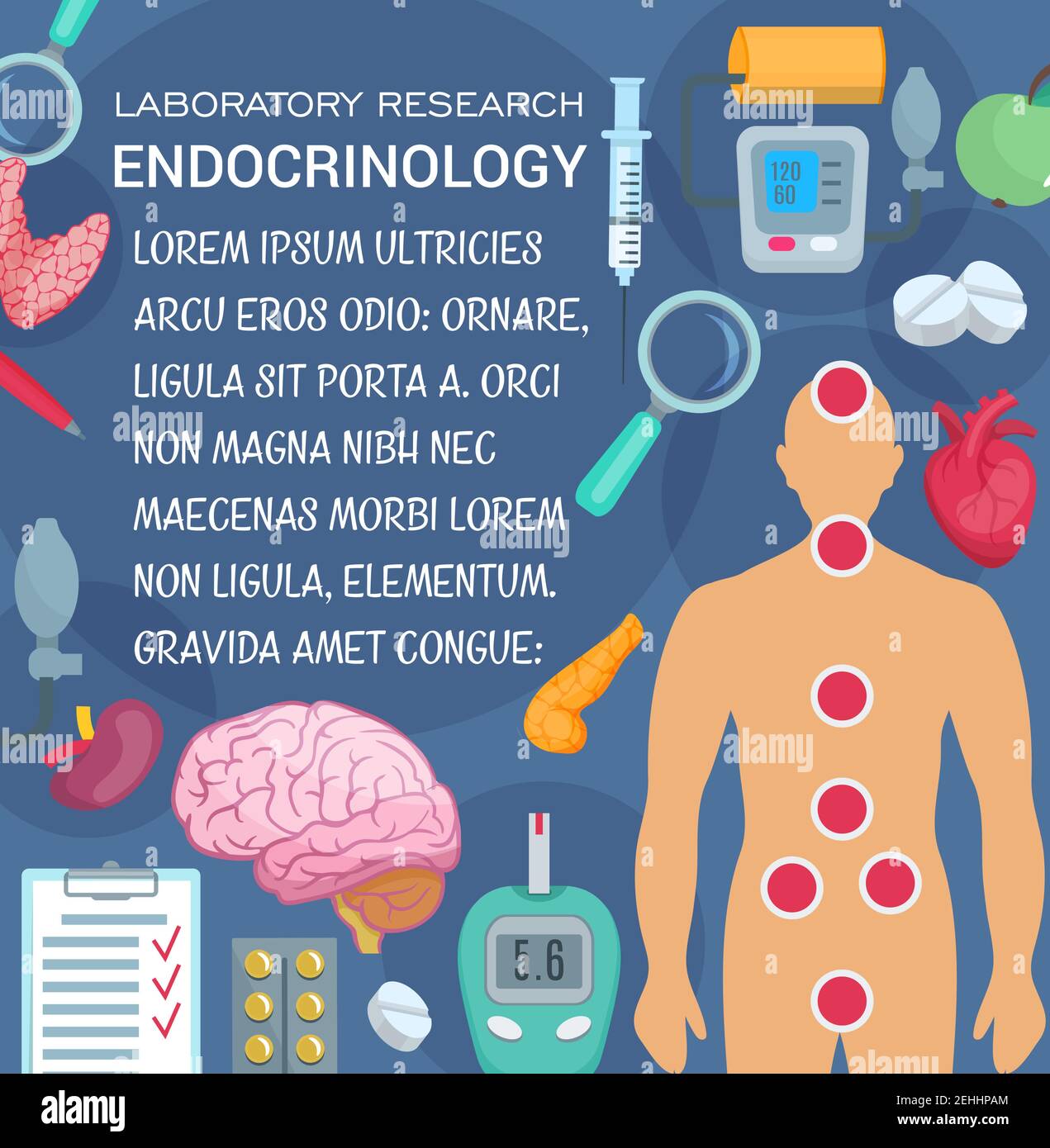 Poster di medicina Endocrinologica e di ricerca di laboratorio per la progettazione sanitaria. Cuore umano, cervello e pancreas, ghiandole tiroidee e surrenali, pillola, sciroppo Illustrazione Vettoriale