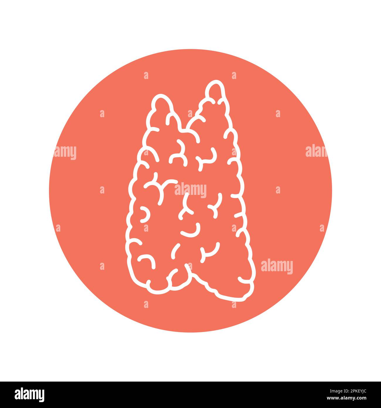 Icona della linea del colore del timo. Sistema endocrino. Pittogramma per pagina web, app mobile, promo. Illustrazione Vettoriale