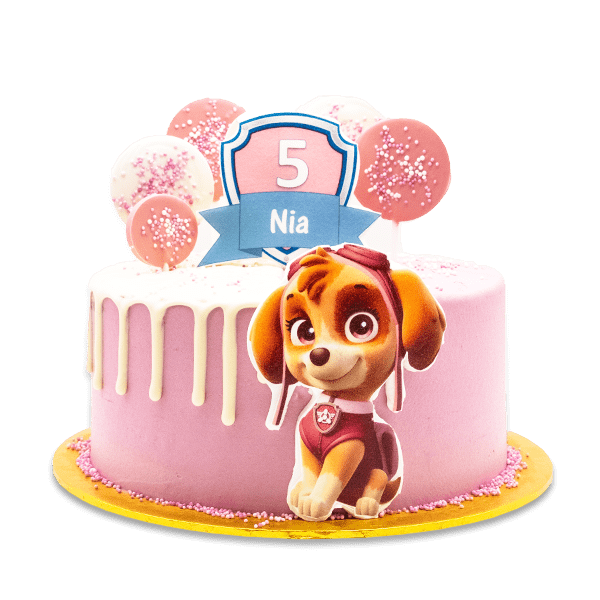 Skye Paw Patrol Cake Paw Patrol Png Bolo Do Paw Patrol Paw Patrol ...