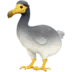 Dodo