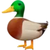 Ente